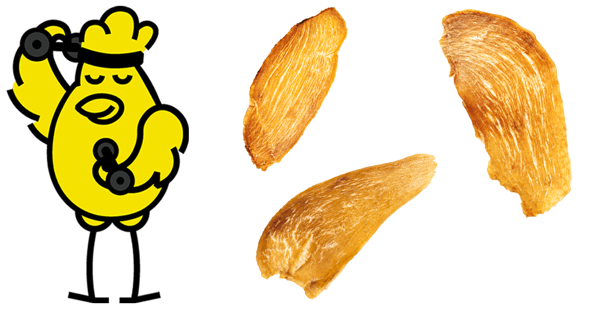 Dried chicken breast slices